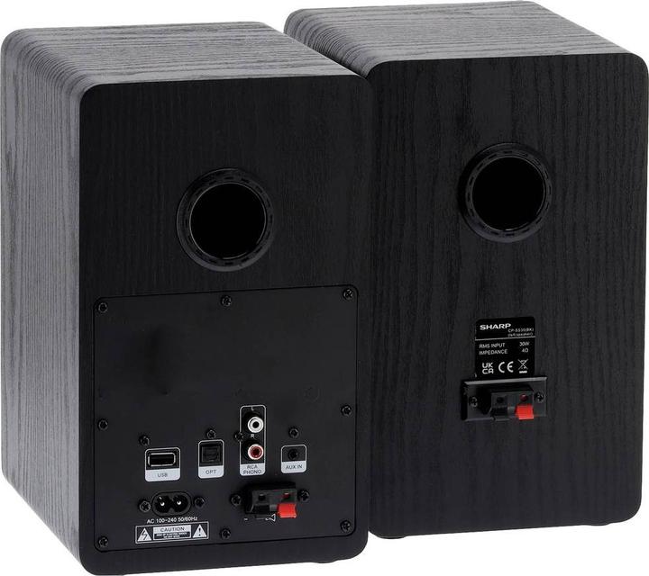 Actual product image Sharp CP-SS30 (1 pair, 60 W)