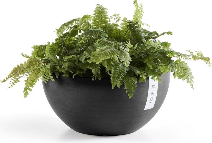 Produktbild Ecopots Brussels (25 cm)