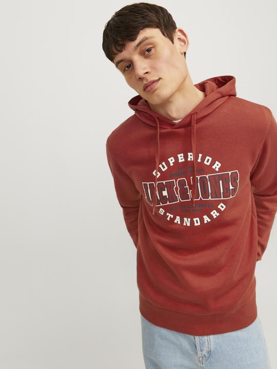 Immagine prodotto Jack & Jones JJELOGO SWEAT HOOD 2 COL 24/25 NOOS (S)