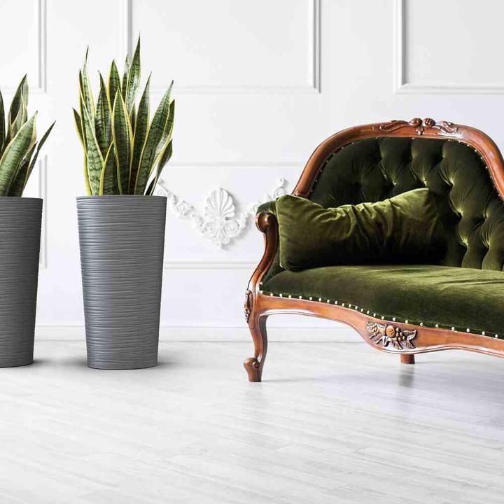 Image du produit Siena Garden Modern (30 cm)