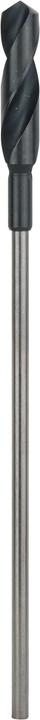 Produktbild Bosch Professional Zubehör PRO Wood HSS Installationsbohrer, 22 x 100 x 400 mm (22 mm)