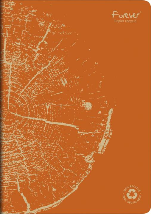 Actual product image Calligaphe Premium booklet (A4, Checked)