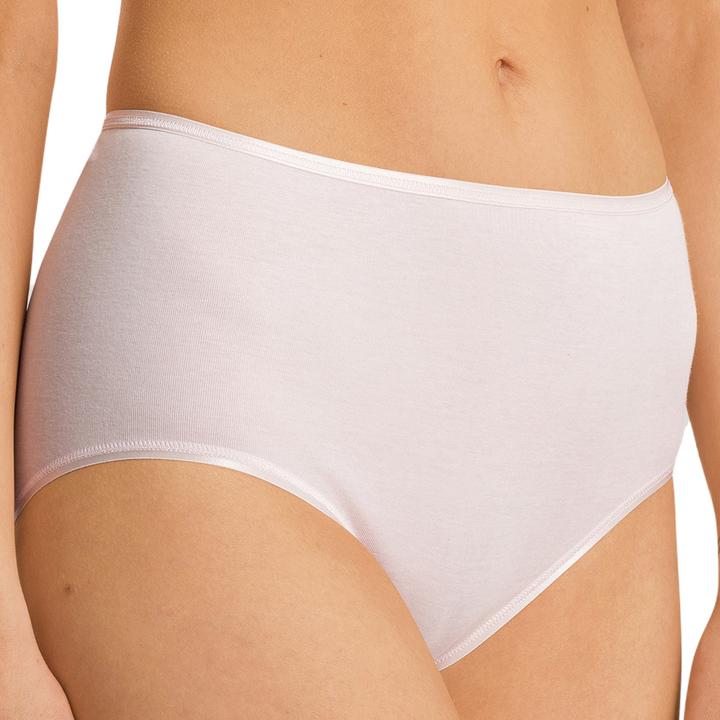 Actual product image Hanro Cotton Seamless Maxi Briefs (L, Single pack)