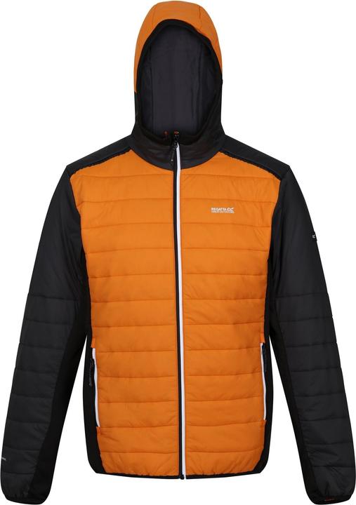 Image du produit Regatta - Veste matelassée TRUTTON - Homme (M)