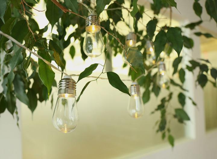 Immagine prodotto Kikkerland Luci di stringa a lampadina Edison (2 m)