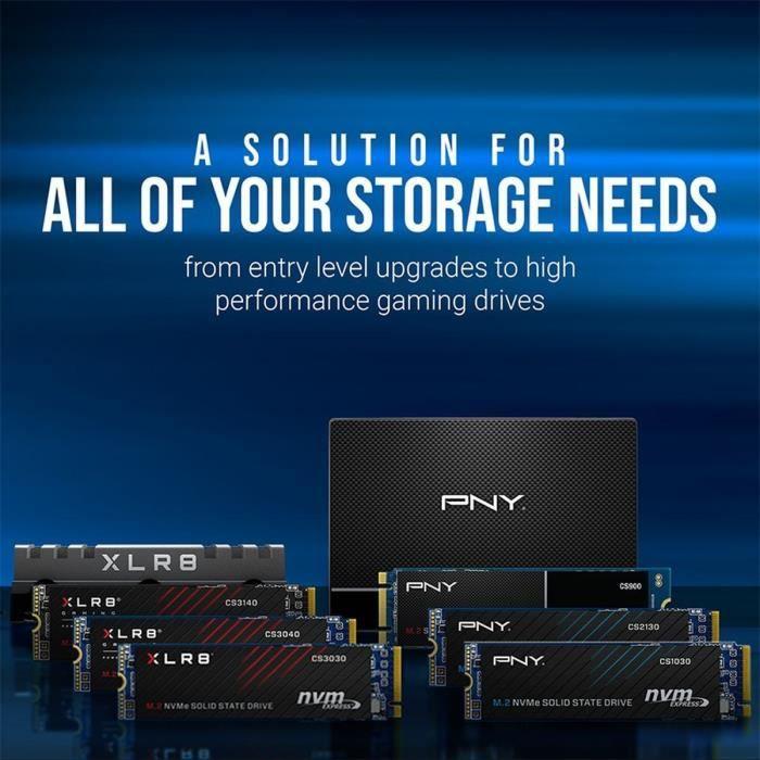 Image du produit PNY CS1030 (500 Go, M.2 2280)