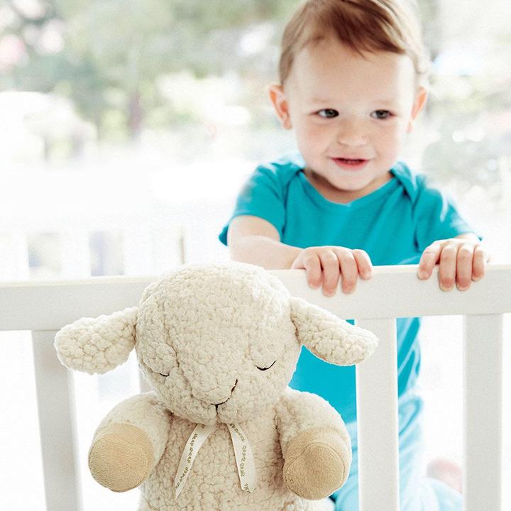 Actual product image Cloud B Sleep Sheep on the go (CB7302-ZZ)