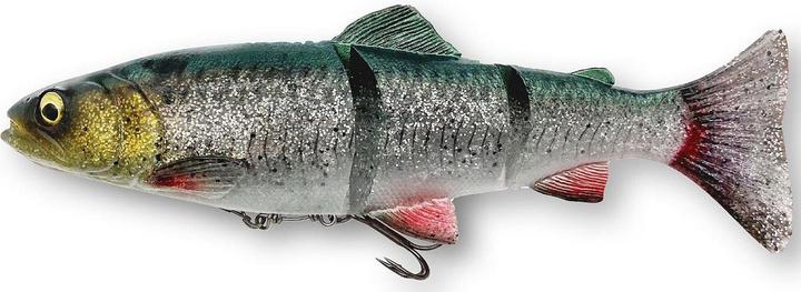 Savage Gear 4D Line Thru Trout (25 cm)