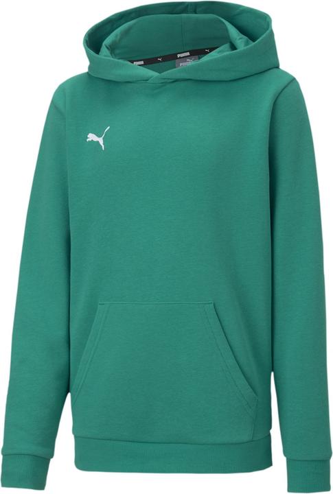 Puma teamGOAL 23 Casuals Hoody Jr-656711