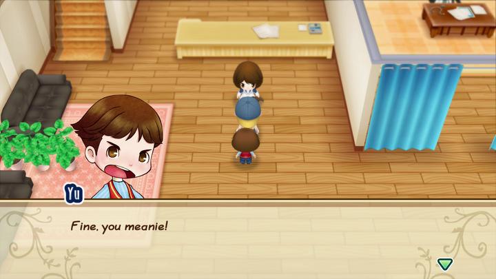 Actual product image Marvelous Story of Seasons : Friends of Mineral Town (Switch, FR)