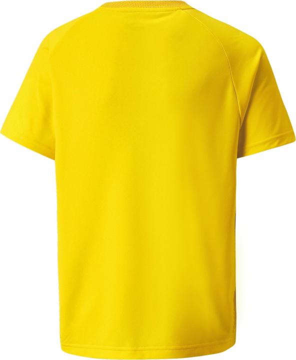 Immagine prodotto Puma Maglia del teamVISION Jr-704928 (152)