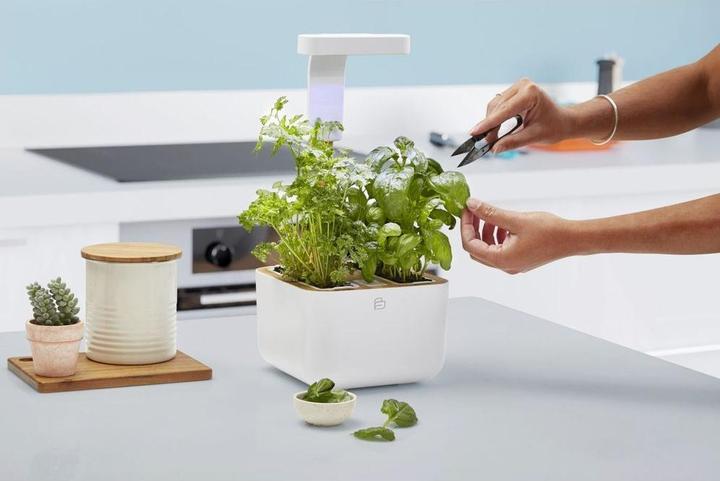 Produktbild Véritable Botaneo Eylo (18.40 cm)