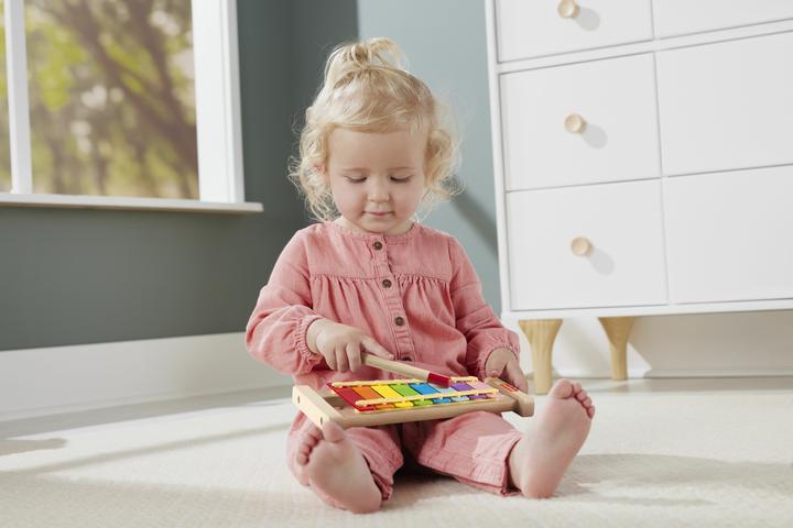 Actual product image Fisher-Price colourful xylophone with wooden hammer game (Multilingual)