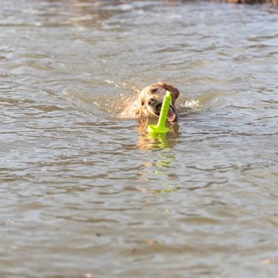 Produktbild Trixie Dog Activity Mot-Aqua 29cm (Wurfspielzeug Hund)