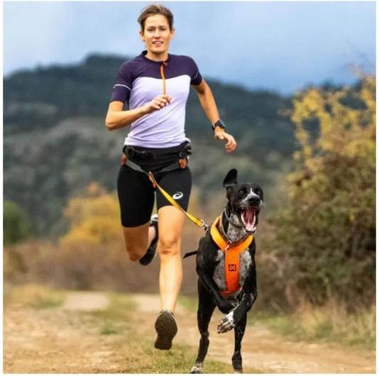 Image du produit Non-Stop Dogwear Harnais Freemotion 5.0 (M, Chien, Sport canin)