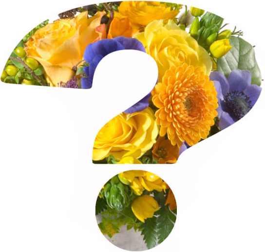 Immagine prodotto Fleurop Mazzo a sorpresa (Fiori recisi)
