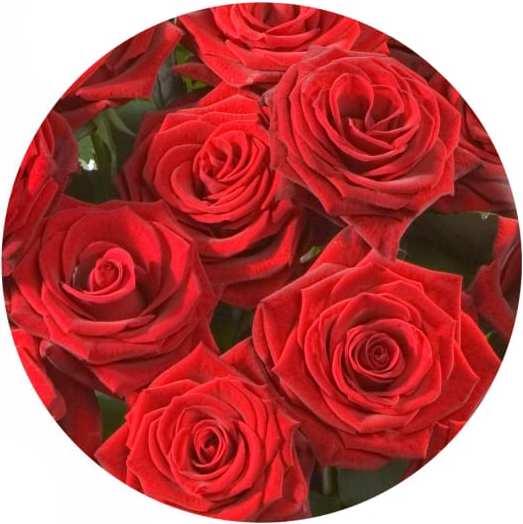 Actual product image Fleurop Red Roses Bouquet (Cut flowers)