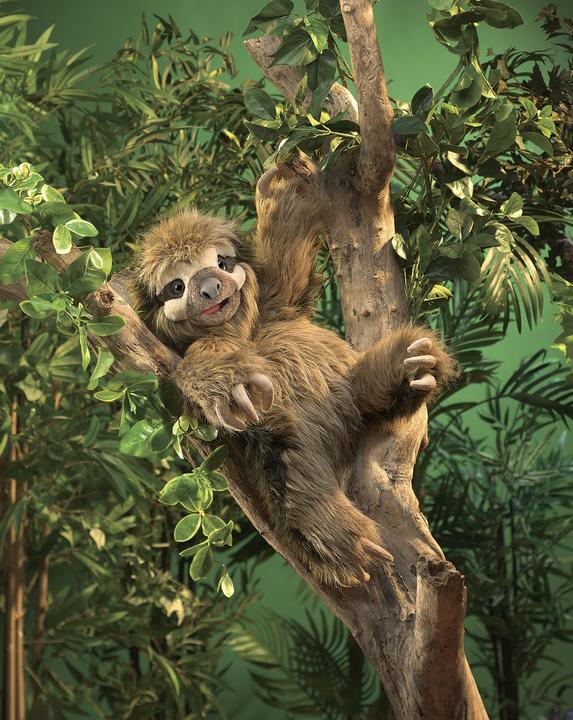 Actual product image Folkmanis Three Finger Sloth