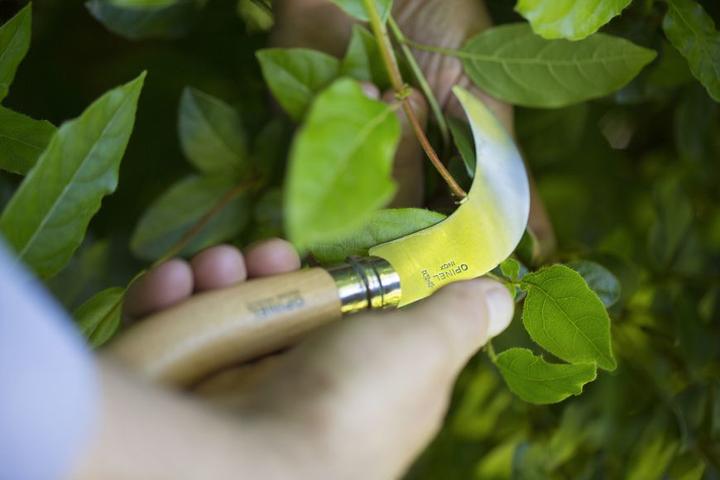 Image du produit Opinel N° 10 (8 cm)