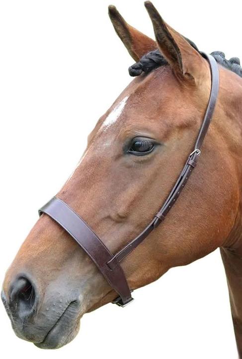 Universal Textiles Hunter leather noseband