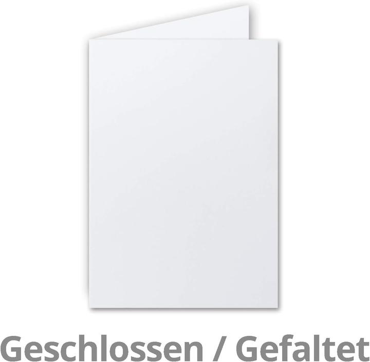 Image du produit Neuser Papier 100 Faltkarten DIN A5 Blanko (100 pcs)