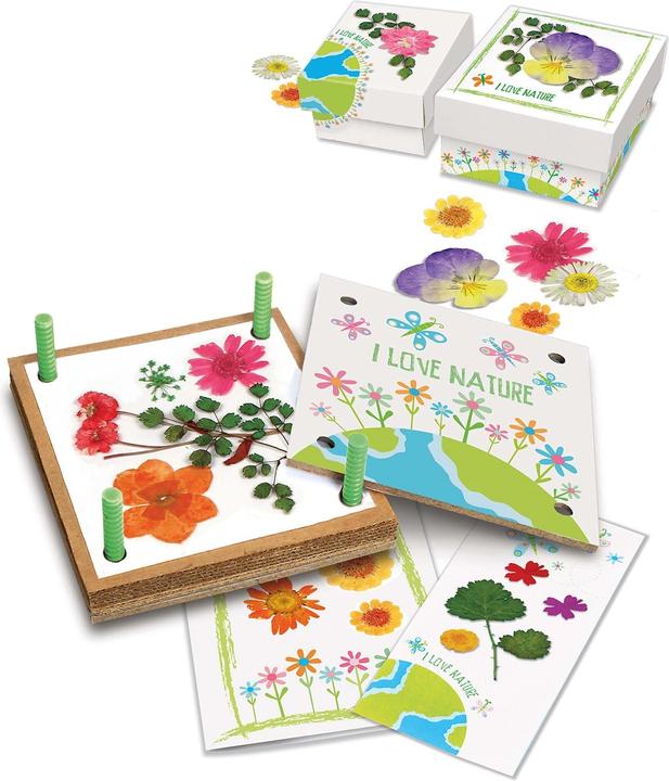 Actual product image 4M Green Creativity/Pressed Flower Art