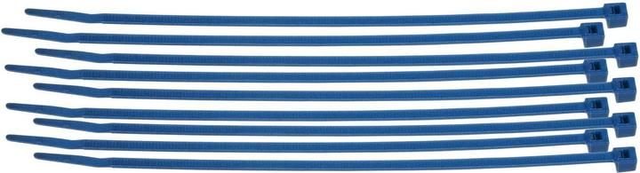 Produktbild Brady Leitungs- und Kabelbinder aus Nylon (Kunststoffkabelbinder, 290 mm, 100 Stk.)