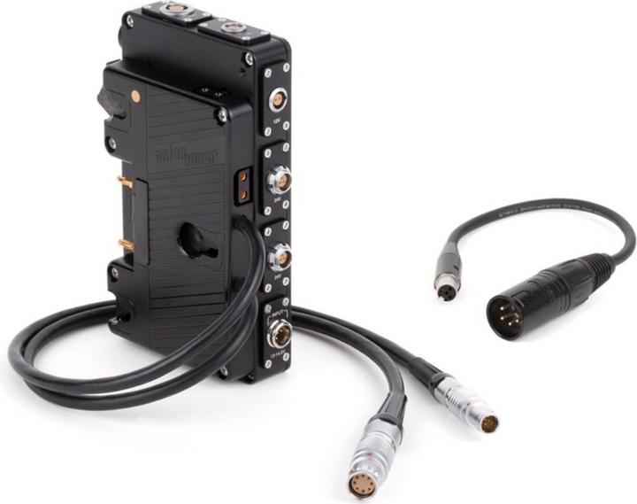 Wooden Camera D-Box (Alexa Mini / Mini LF, Gold Mount)