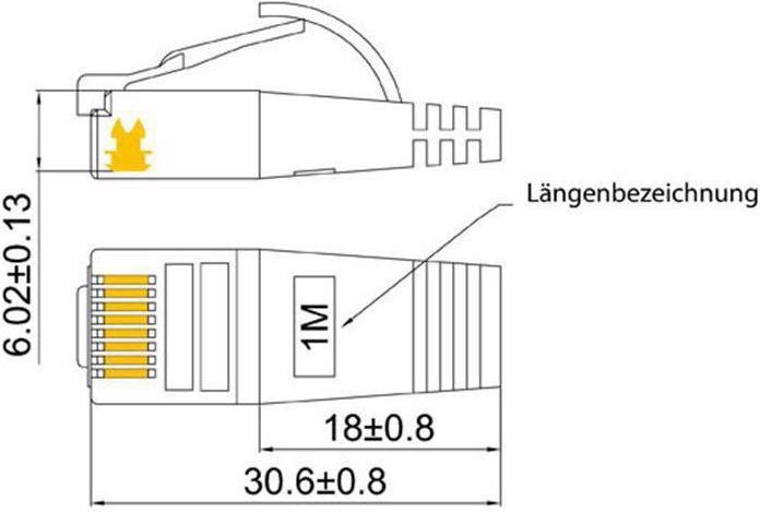 Image du produit Wirewin Câble de réseau (STP, CAT6, 0.25 m)