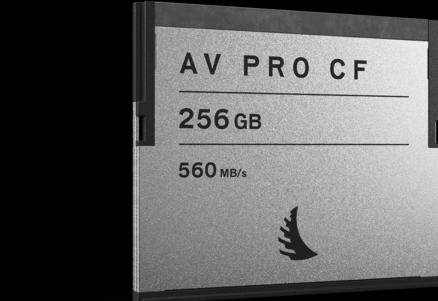 Image du produit Angelbird AV PRO CF SE 256 GO (256 Go, CFast 2.0)