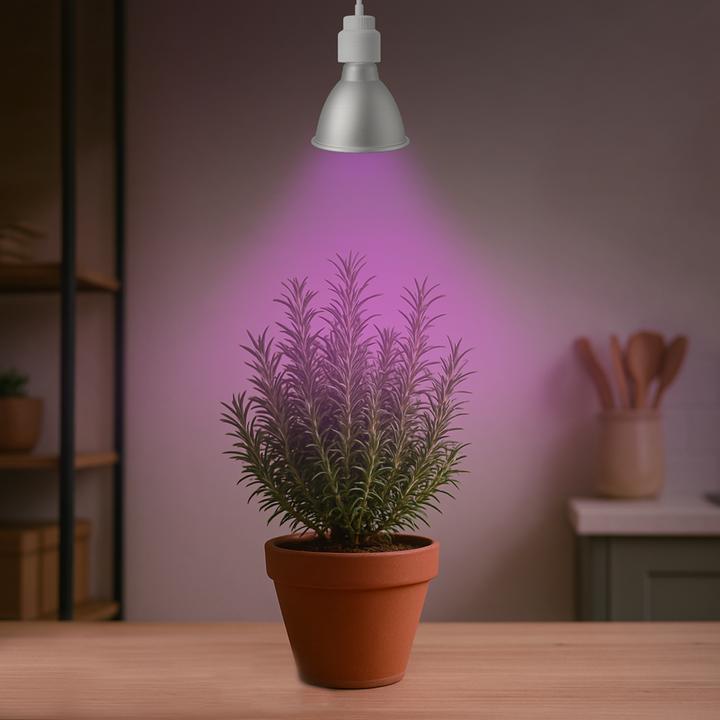 Produktbild Venso E27 Pflanzenlampe "Cultura" 15W 60° (LED)