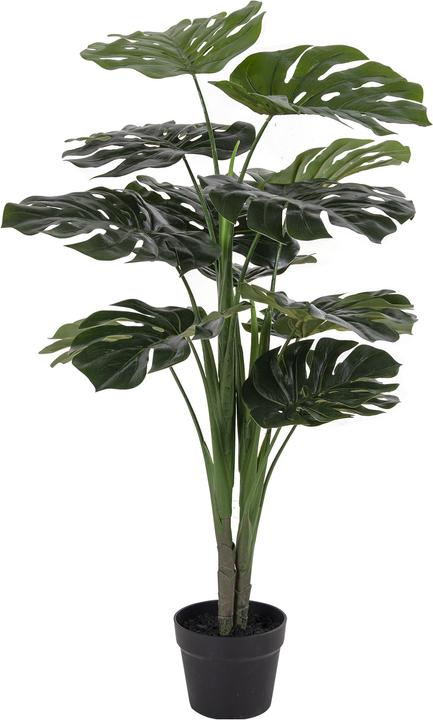 Image du produit House Nordic Monstera (90 cm)