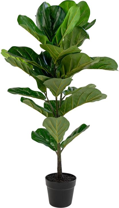 Actual product image House Nordic Fiddle Leaf Tree (100 cm)