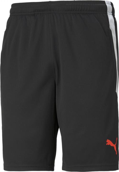 Actual product image Puma teamLIGA Training Shorts (XS)