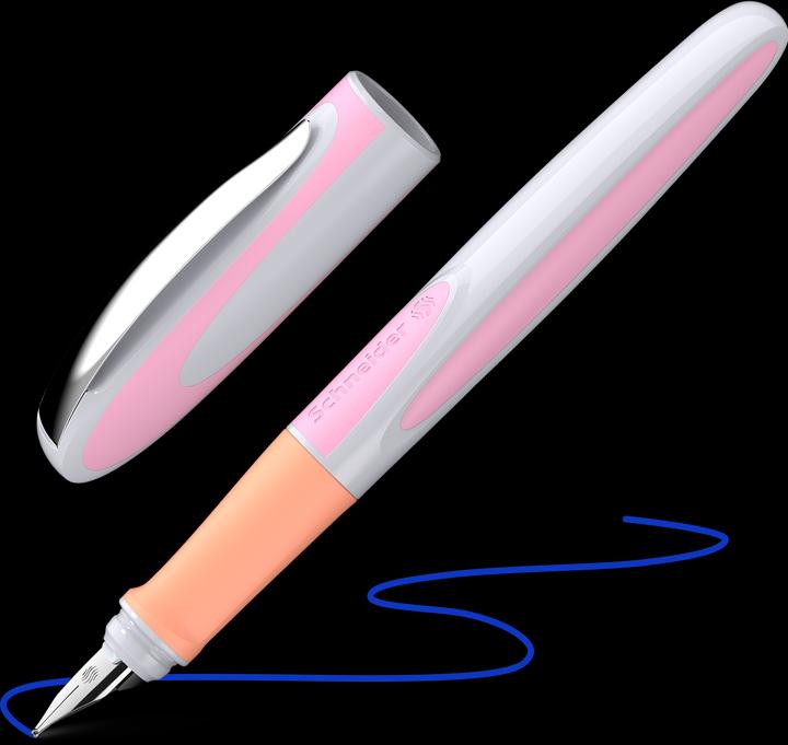 Image du produit Schneider Stylo à plume Ray (Flore)