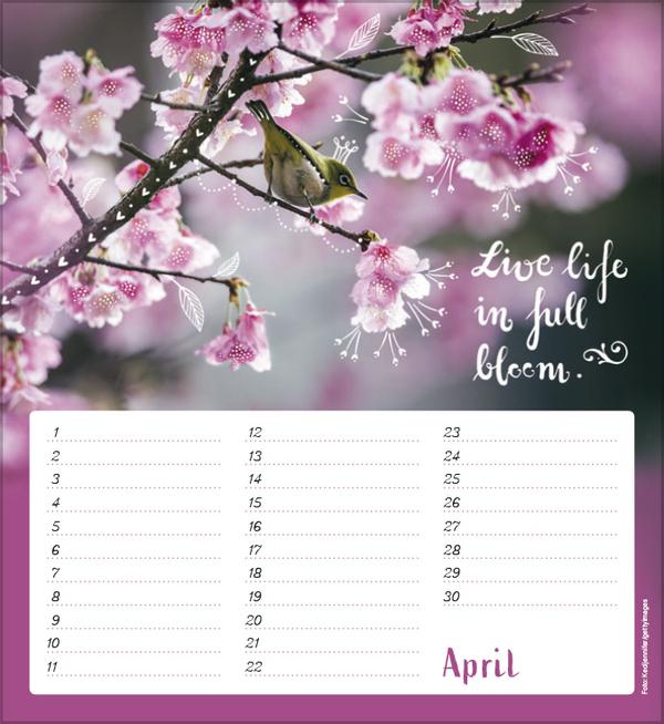 Produktbild Geburtstagskalender Im herzen barfuss (Harter Einband, Deutsch)