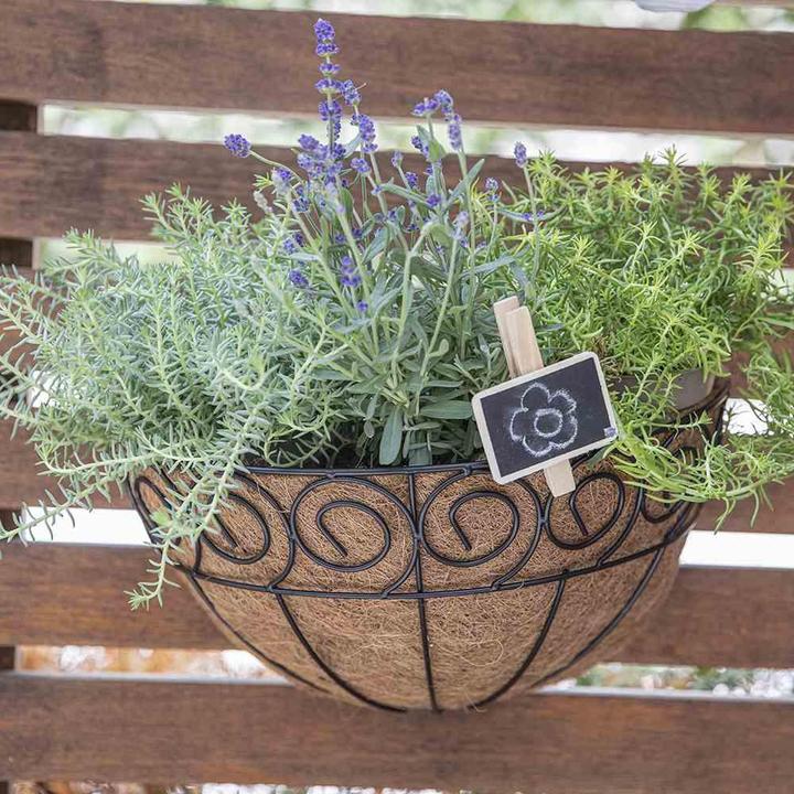 Immagine prodotto Siena Garden Wandampel (35 cm)