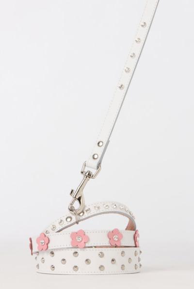 Actual product image Dogue Foxy Collar (Dog)