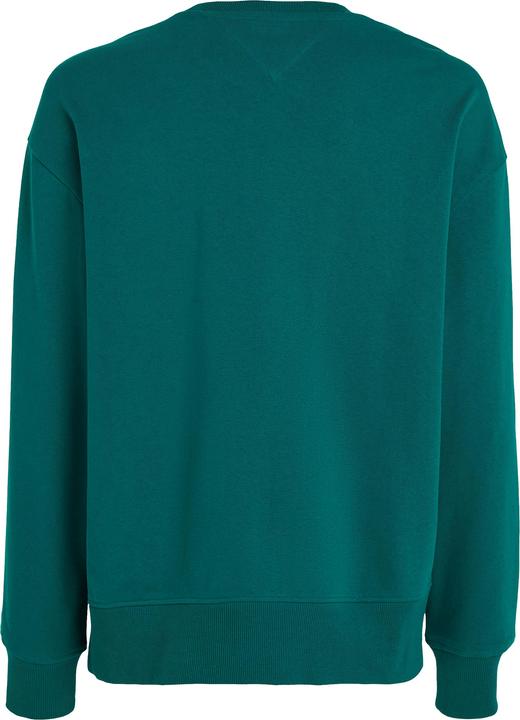 Image du produit Tommy Hilfiger Tommy Jeans Signature Sweater - 97575 (M)