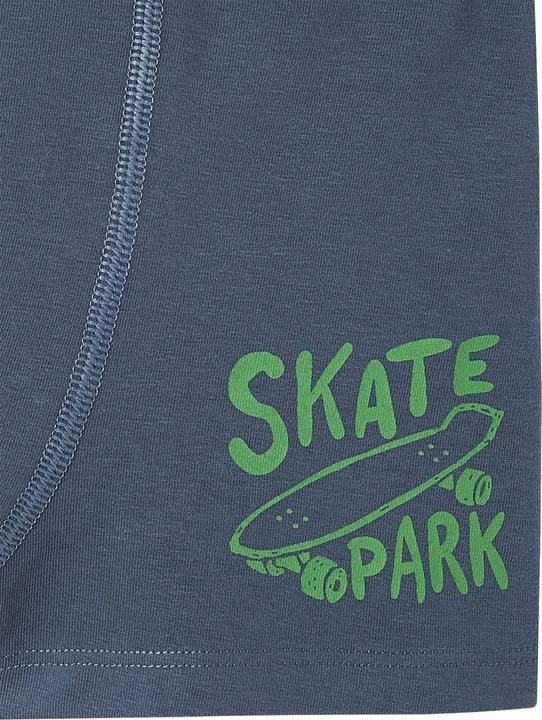 Immagine prodotto Vertbaudet Confezione da 5 boxer da ragazzo elasticizzati, skater (110, Confezione da 5 pezzi)