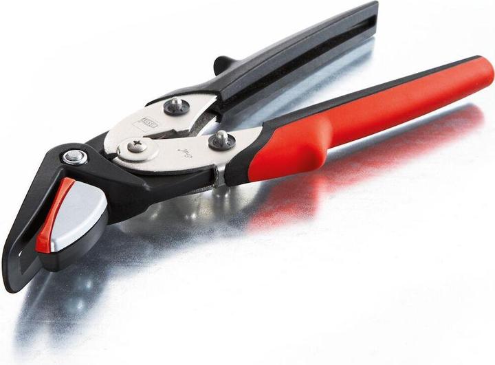 Immagine prodotto Bessey Cesoie per cinghie di sicurezza con trasmissione a leva (32 mm)