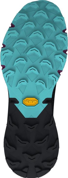 Image du produit Dynafit Chaussure de course Ultra 100 GTX (38)