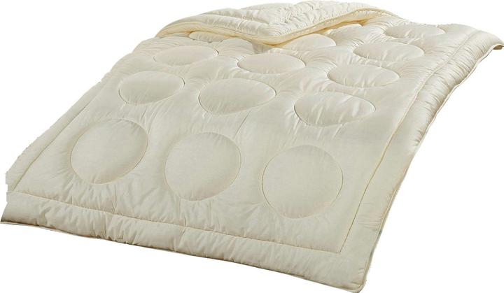 Produktbild F.A.N. Duo-Steppbett (1200 g, 155 x 220 cm)