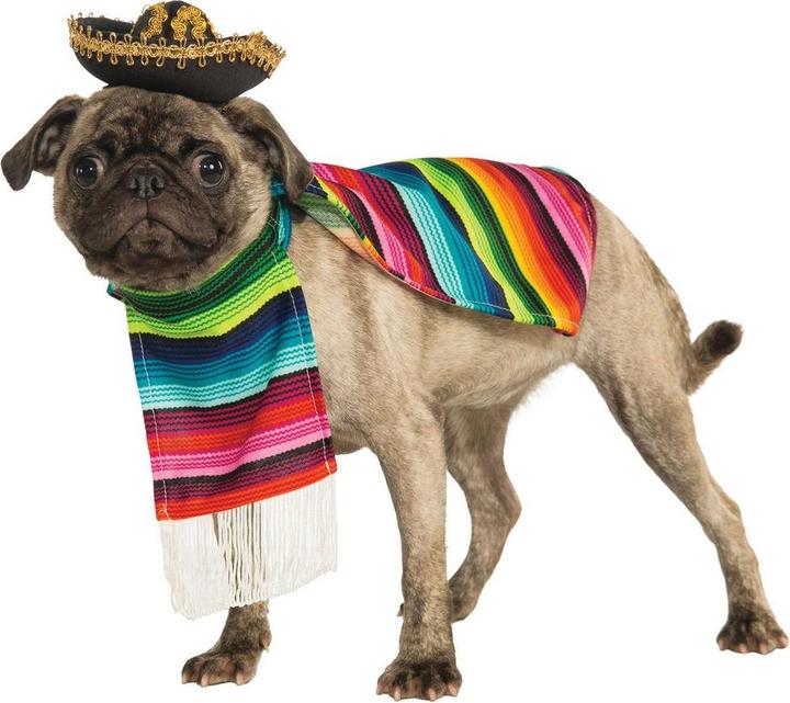 Actual product image Bristol Novelty Mexican Dog Costume Set (XL, Dog costume)