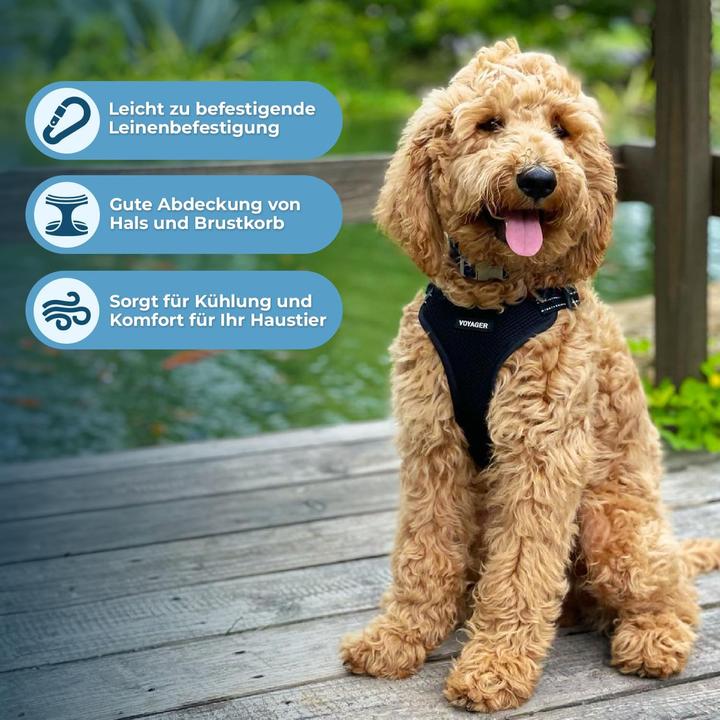 Image du produit Voyager Hundegeschirr mit Reflektorstreifen (L, Chien)
