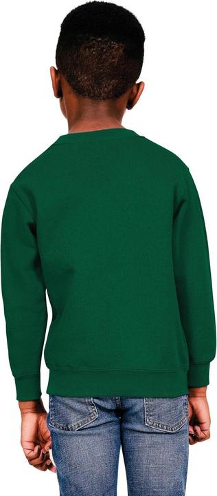 Image du produit Universal Textiles - Sweat - Enfant (152, 158)