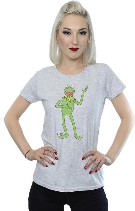 Actual product image Gildan Womens/Ladies Classic Kermit Heather T-Shirt (XS)