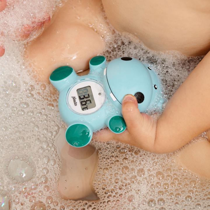 Actual product image Alecto Thermometer BC-11
