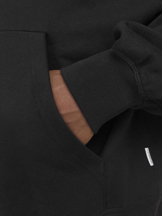 Image du produit Jack & Jones Joraustin Font Sweat Hood Styd Aw24 (M)