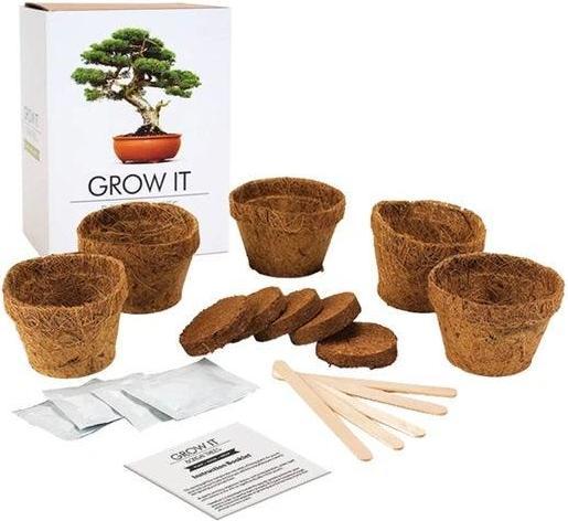 Produktbild Mags Grow it Bonsai (Pflanzensamen)